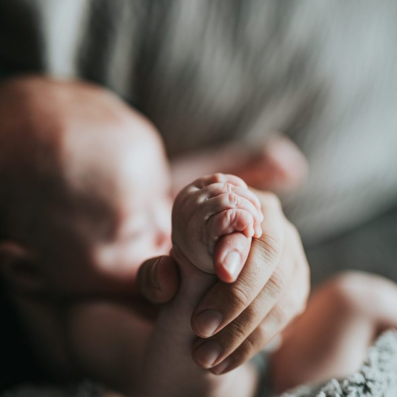 nathan-dumlao-EytWx3BOrwI-unsplash nathan-dumlao-EytWx3BOrwI-unsplash